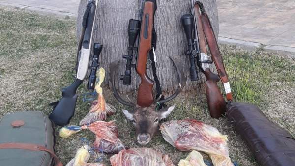 Armas y pieza de caza decomisados Armas y pieza de caza decomisados