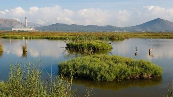 Albufera, parque natural, s'Albufera de Mallorca Albufera, parque natural, s'Albufera de Mallorca