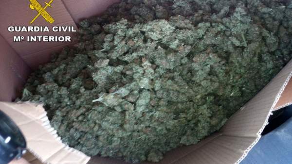 Cogollos de marihuana interceptados en un control de tráfico Cogollos de marihuana interceptados en un control de tráfico