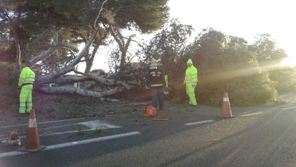 Intervenciones del CPB por temporal de viento. Enero 2018 Intervenciones del CPB por temporal de viento. Enero 2018