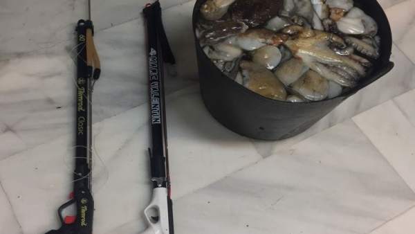 Pulpos y fusiles de buceo incautados tras una operación contra la pesca ilegal Pulpos y fusiles de buceo incautados tras una operación contra la pesca ilegal