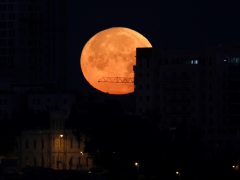 Horario y dónde ver el eclipse lunar de enero de 2019