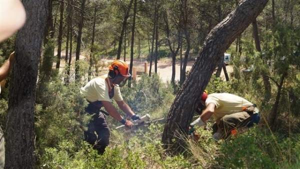 Agricultura alça la prohibició excepcional de cremes en zona forestal Agricultura alça la prohibició excepcional de cremes en zona forestal