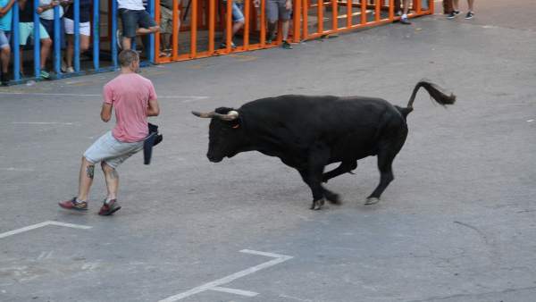 Bous al carrer en Vilafamés Bous al carrer en Vilafamés