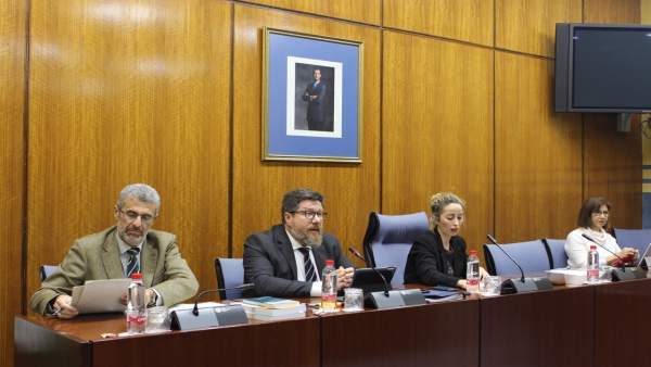 Rodrigo Sánchez Haro, en comisión parlamentaria. Rodrigo Sánchez Haro, en comisión parlamentaria.