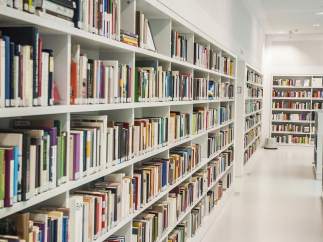 Biblioteca, libros, lectura