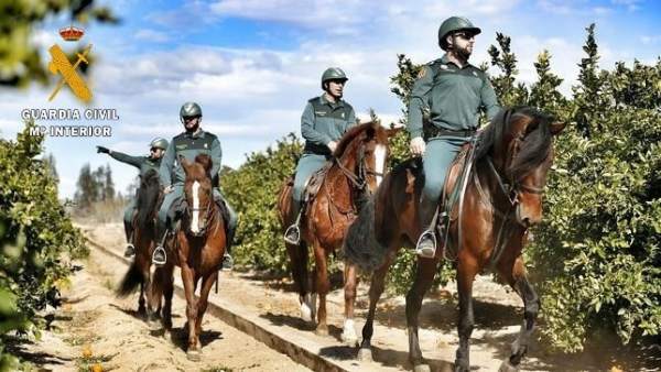 Escuadra de Caballería de la Guardia Civil de Salamanca. Escuadra de Caballería de la Guardia Civil de Salamanca.