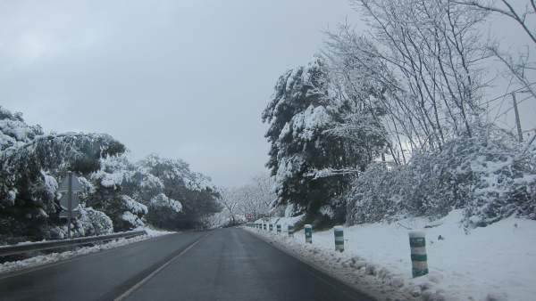 Nieve Nieve