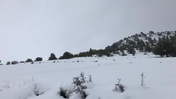 Nieve, nevada, frío, temporal Nieve, nevada, frío, temporal