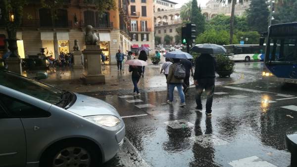 Lluvia, Palma, paraguas, tiempo, llover Lluvia, Palma, paraguas, tiempo, llover