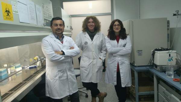 Investigadores de la Universidad de Jaén. Investigadores de la Universidad de Jaén.