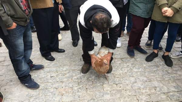 Vecino con la pava de 2017 Vecino con la pava de 2017