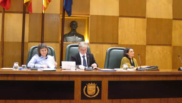 El Alcalde En El Pleno El Alcalde En El Pleno