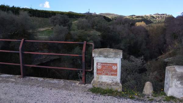 Lugar donde han aparecido cientos de palomas muertas Lugar donde han aparecido cientos de palomas muertas