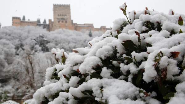 Nieve en Granada Nieve en Granada