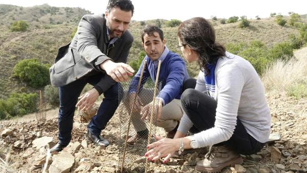 Raul Jiménez, reforestación, plantones Raul Jiménez, reforestación, plantones