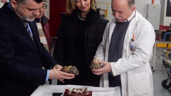 Foto/ Visita Al Centro De Restauración Donde Se Han Depo Sitado Los Restos De La Foto/ Visita Al Centro De Restauración Donde Se Han Depo Sitado Los Restos De La