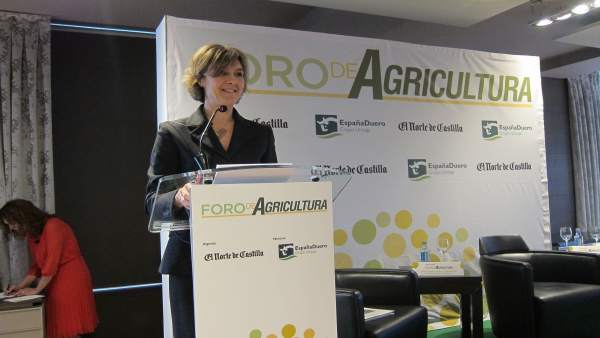 Tejerina en el Foro de El Norte de Castilla Tejerina en el Foro de El Norte de Castilla