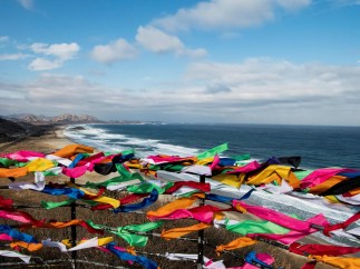 Corea del Sur