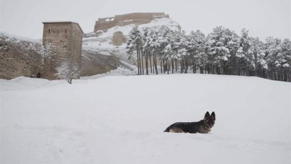 La Generalitat decreta emergència per nevades nivell zero en nou comarques La Generalitat decreta emergència per nevades nivell zero en nou comarques