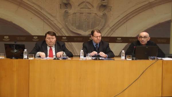 Continúan las comparecencias para la reforma de la ley electoral Continúan las comparecencias para la reforma de la ley electoral