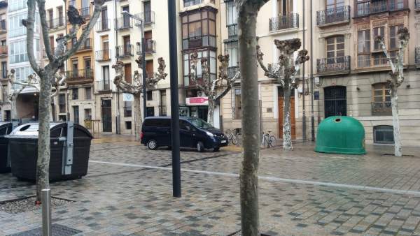 Arboles en la calle Bretón de los Herreros Arboles en la calle Bretón de los Herreros
