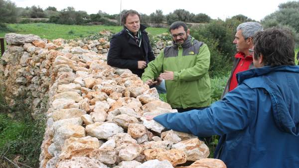 Vidal visita una zona de recuperación de 'paret seca' Vidal visita una zona de recuperación de 'paret seca'