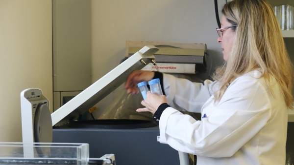 Una investigadora de la UIB Una investigadora de la UIB