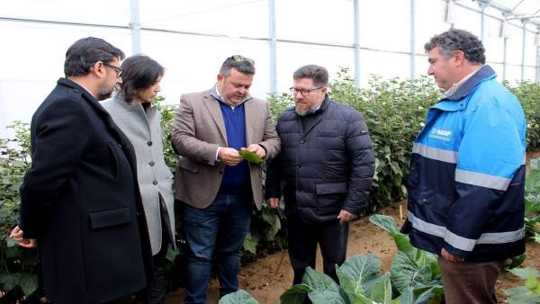 El consejero de Agricultura, Rodrigo Sánchez Haro, en Utrera (Sevilla) El consejero de Agricultura, Rodrigo Sánchez Haro, en Utrera (Sevilla)