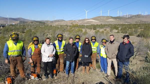 Fiscal visita los trabajos selvícolas en Sierra de Filabres Fiscal visita los trabajos selvícolas en Sierra de Filabres
