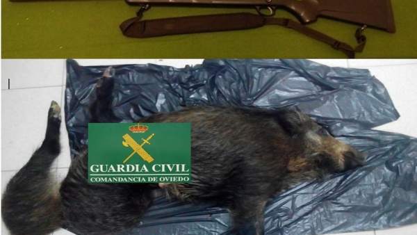 Imagen de los restos de los animales interceptados a los cazadores. Imagen de los restos de los animales interceptados a los cazadores.
