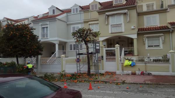 Trabajos de poda en la Urbanización Azahar Trabajos de poda en la Urbanización Azahar