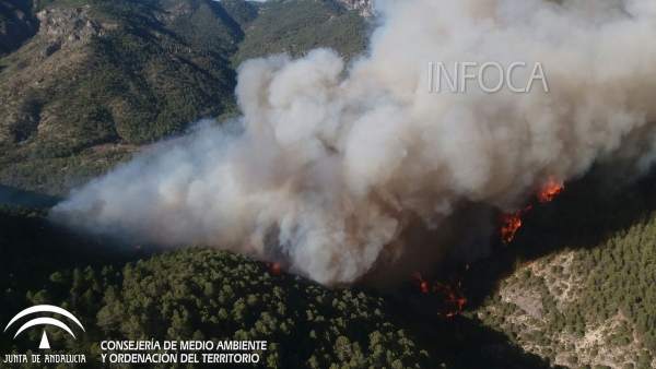 Imagen del incendio registrado en Segura de la Sierra en agosto de 2017. Imagen del incendio registrado en Segura de la Sierra en agosto de 2017.