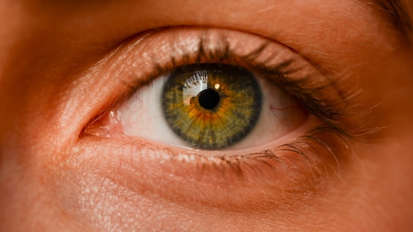 Ojo humano Ojo humano