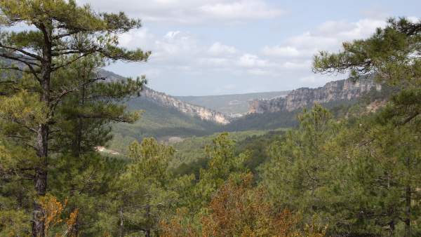 Bosque El Hosquillo, Cuenca Bosque El Hosquillo, Cuenca