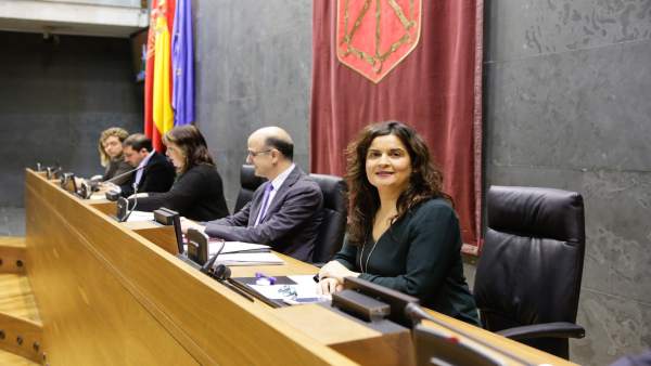 Maribel García Malo, parlamentaria de UPN. Maribel García Malo, parlamentaria de UPN.