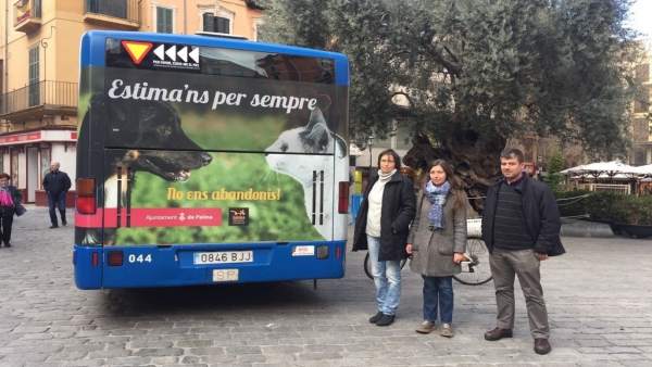 Campaña contra el abandono de mascotas Campaña contra el abandono de mascotas