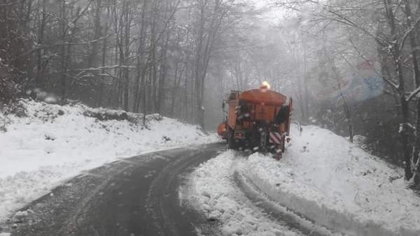 Nieve en el Monseny Nieve en el Monseny