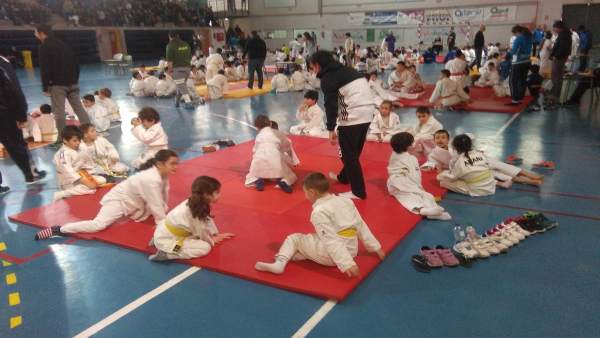 Cerca de 300 niños han participado en el encuentro de promoción del judo. Cerca de 300 niños han participado en el encuentro de promoción del judo.