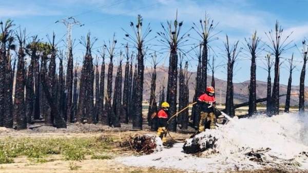 Dos efectivos del Consorcio en el incendio de Orihuela Dos efectivos del Consorcio en el incendio de Orihuela