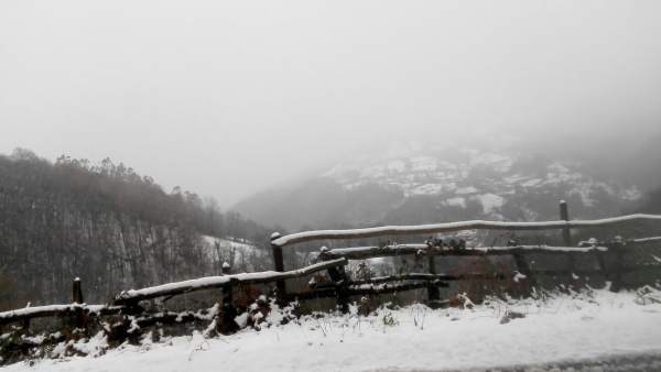 Nieve Nieve
