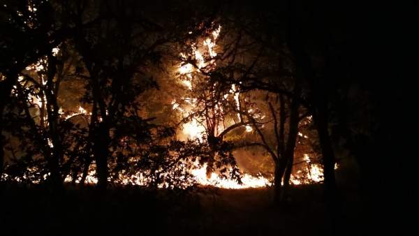 Incendio en Serra de San Madede (Ourense) Incendio en Serra de San Madede (Ourense)