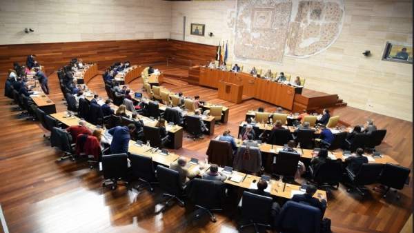 Pleno 8 de febrero Pleno 8 de febrero