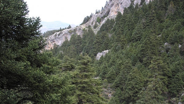 Sierra de las Nieves Sierra de las Nieves