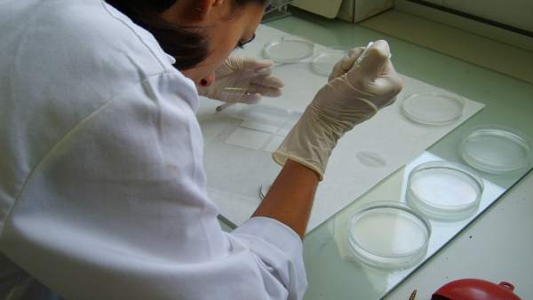 Una investigadora en un laboratorio Una investigadora en un laboratorio