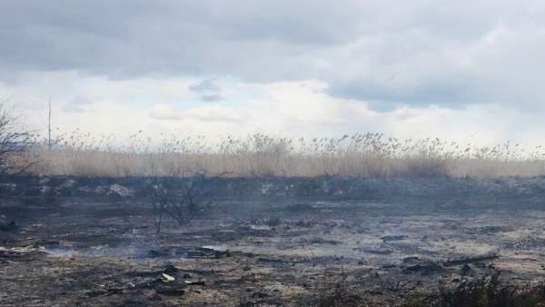 Incendio en una zona cercana al parque natural de El Hondo Incendio en una zona cercana al parque natural de El Hondo