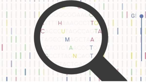 Genes Genes