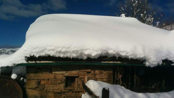 Nieve Nieve