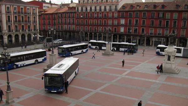 Algunos de los nuevos autobuses de Auvasa, en la Plaza Mayor de Valladolid Algunos de los nuevos autobuses de Auvasa, en la Plaza Mayor de Valladolid