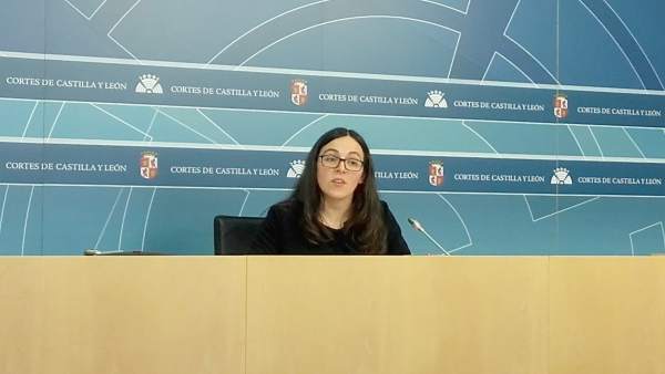 La procuradora de Podemos Laura Domínguez La procuradora de Podemos Laura Domínguez